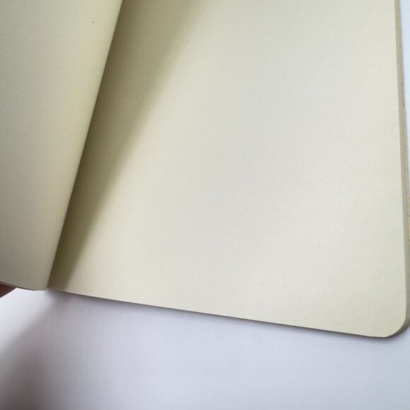 Papaya Art Notebook Set Of 2 With Lined & Unlined Pages 8.5" x 5.5" - Picture 7 of 10